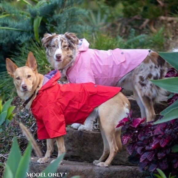 Small Breed Size 2XL Pink Raincoat with Grey and White Pinstripe Lining - Picture 6 of 9